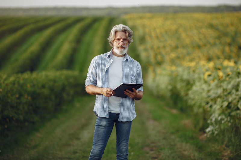 A farmer using a tablet in a sunflower field